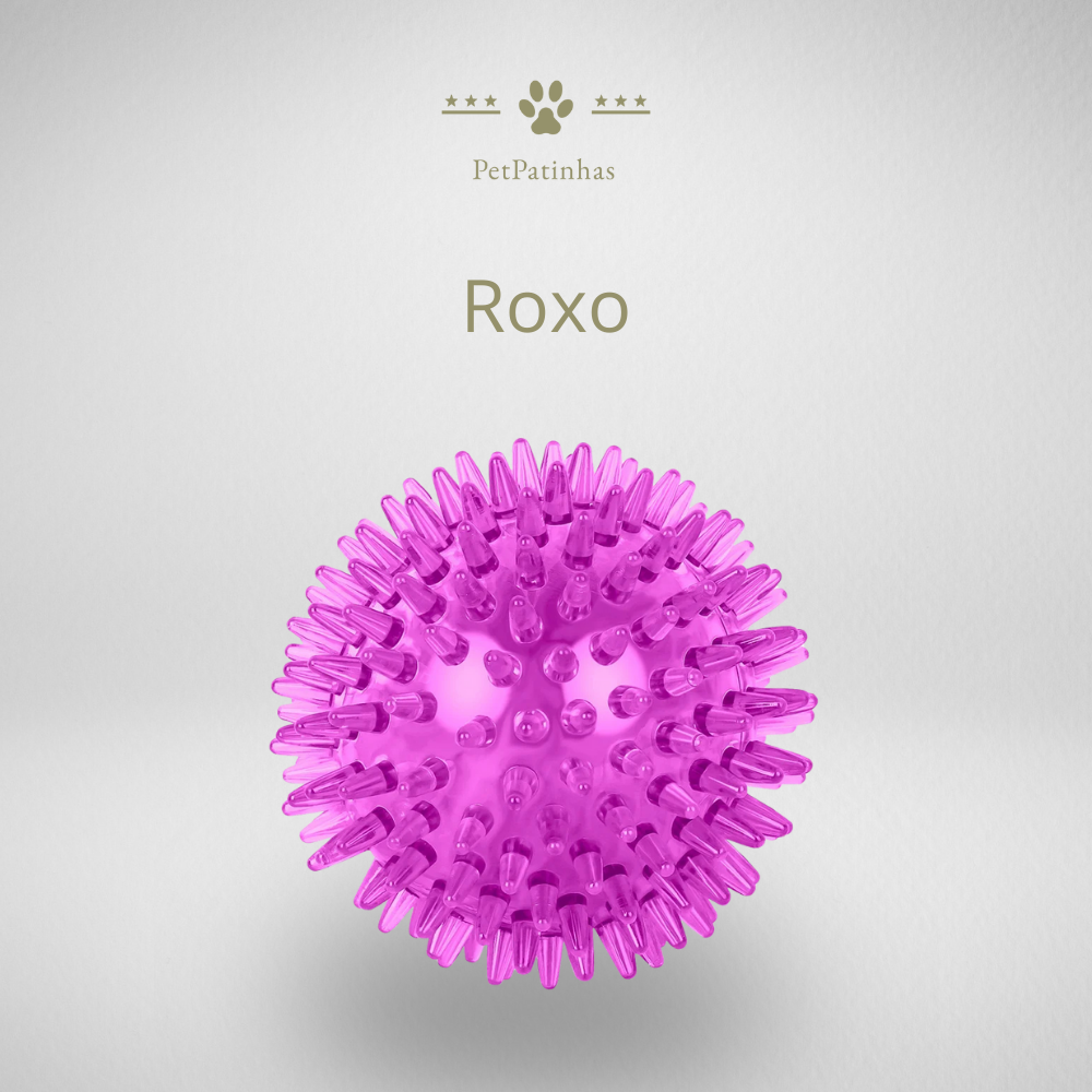 TPR Rubber Sound Ball for Dogs