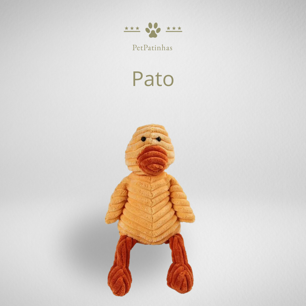 Jouet en peluche pour chien