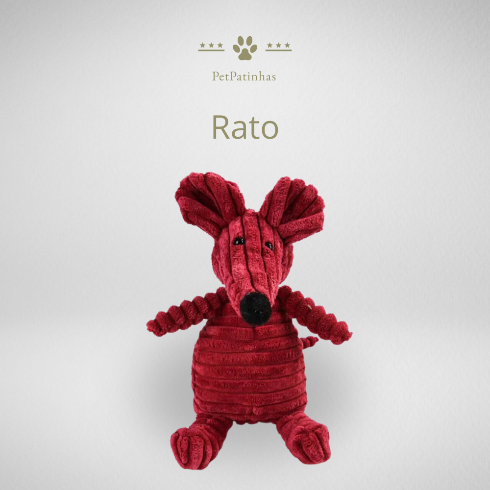 Jouet en peluche pour chien