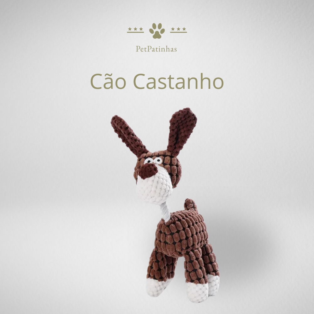 Jouet en peluche pour chien