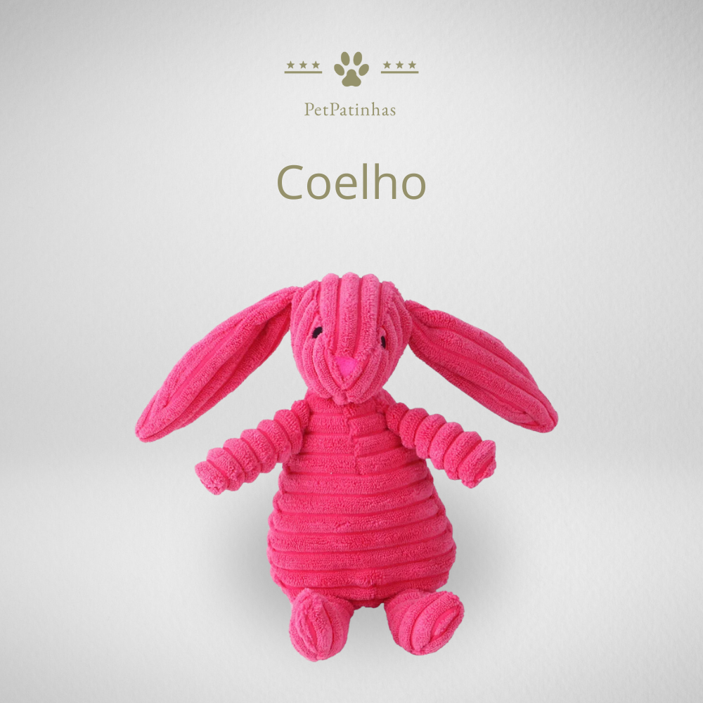 Jouet en peluche pour chien