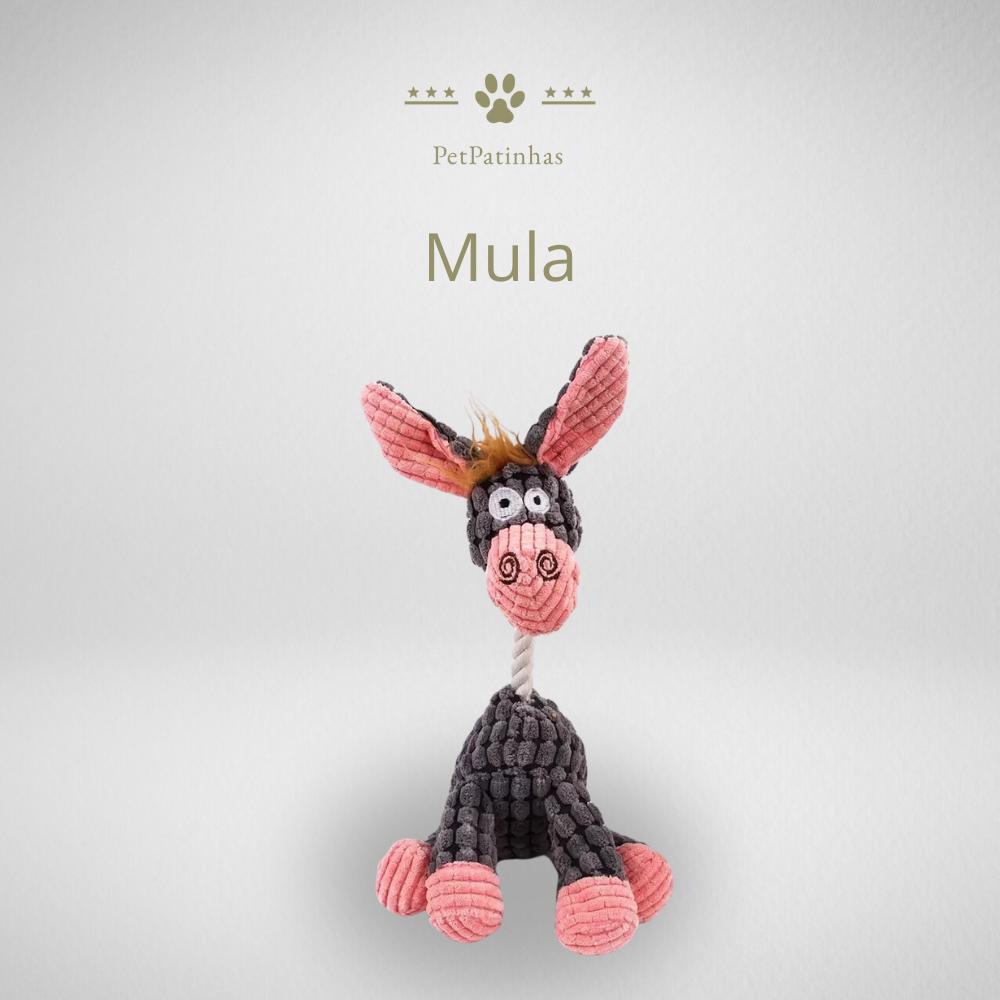Jouet en peluche pour chien