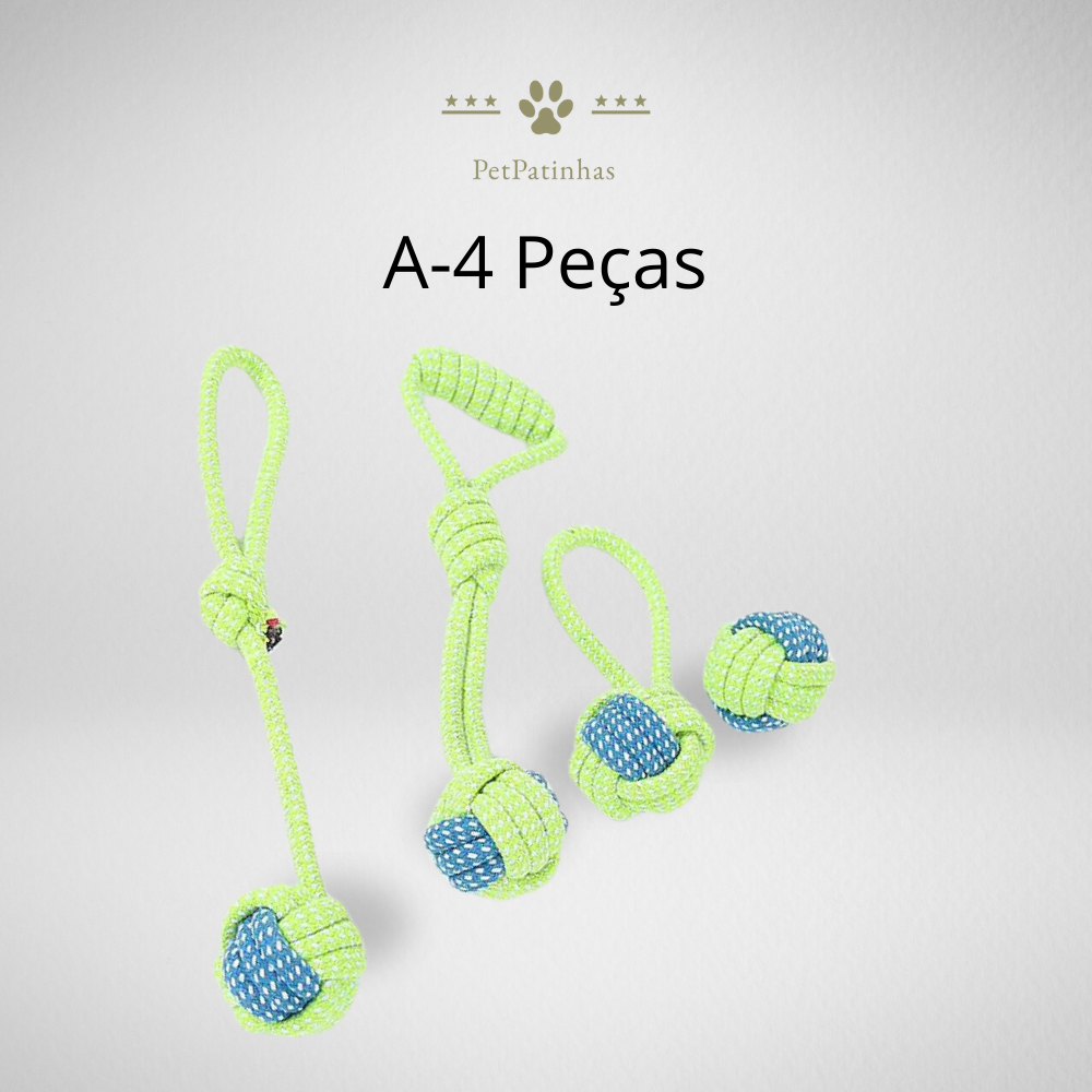 Jouets interactifs pour chiens