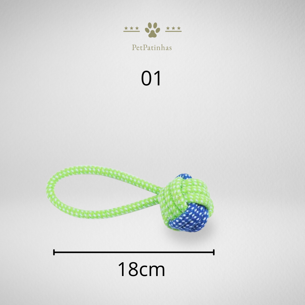Jouets interactifs pour chiens