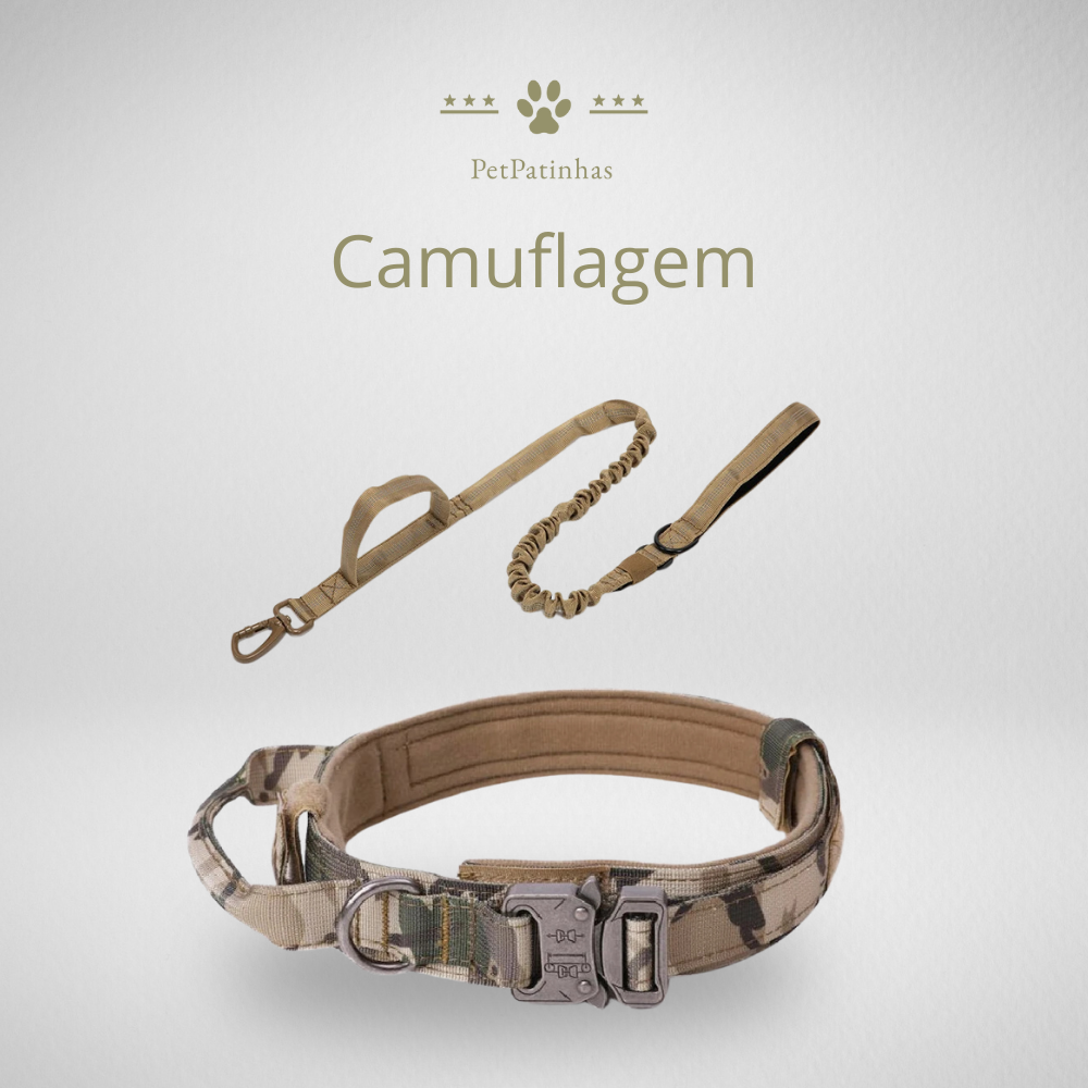 Conjunto de Coleira e Guia para Cães
