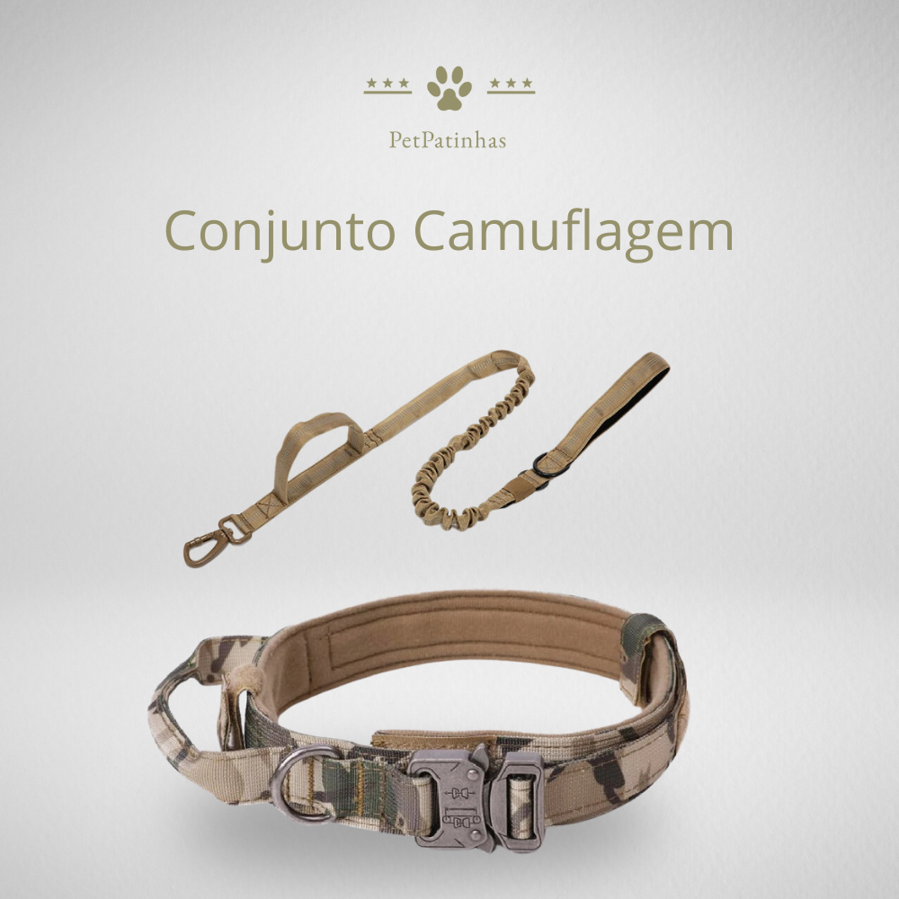 Conjunto de Coleira e Guia para Cães