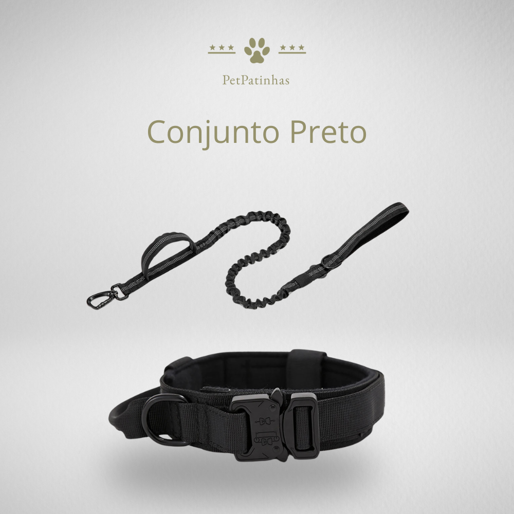 Conjunto de Coleira e Guia para Cães