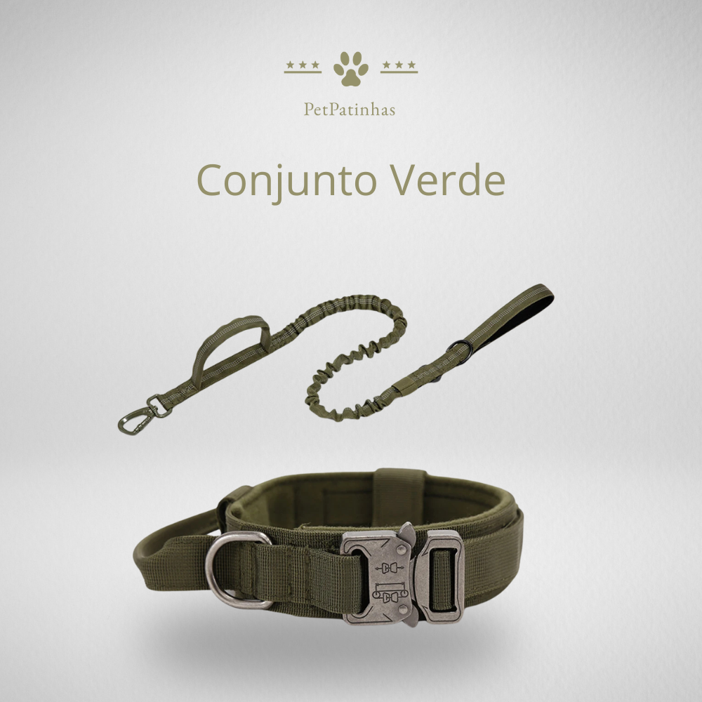 Conjunto de Coleira e Guia para Cães
