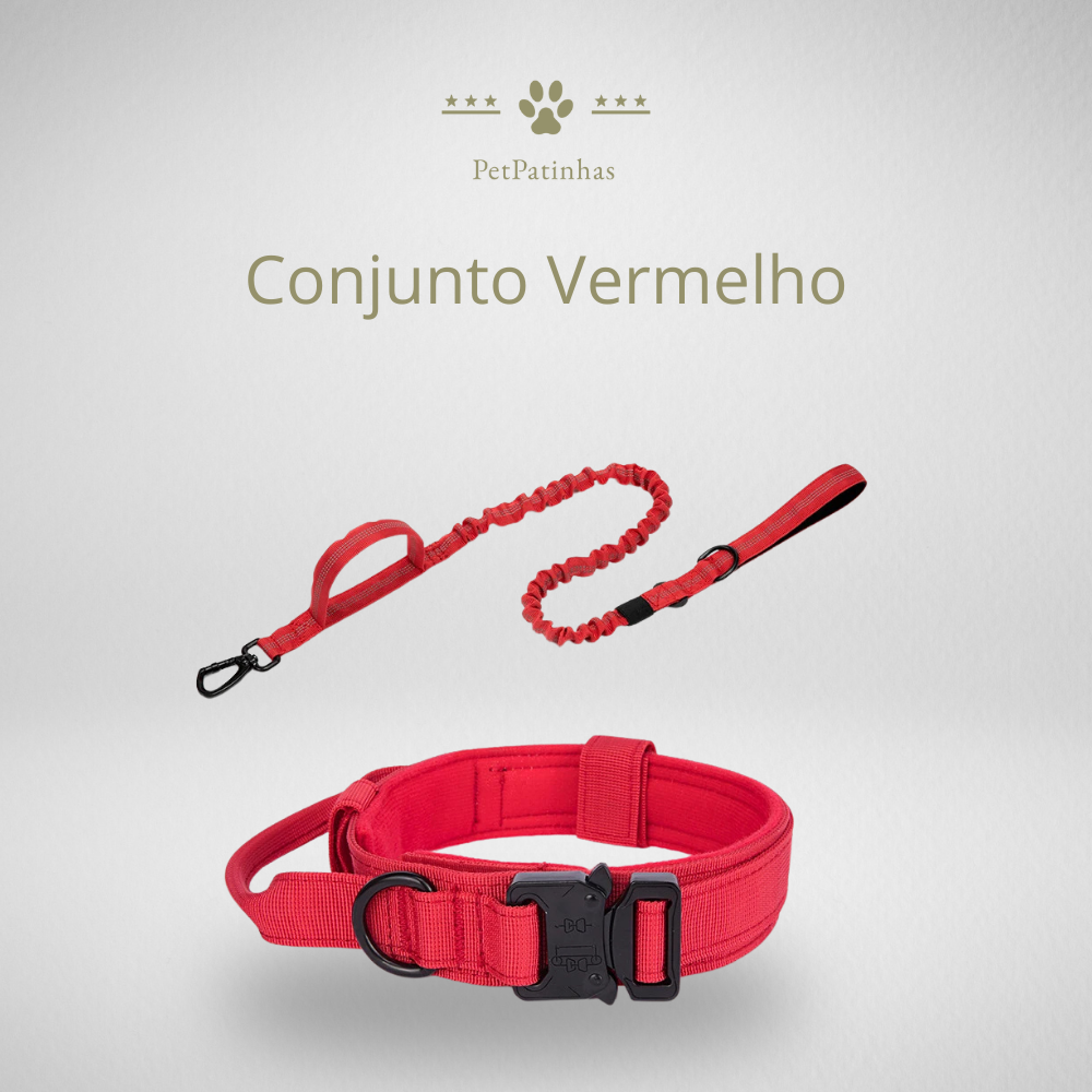 Conjunto de Coleira e Guia para Cães