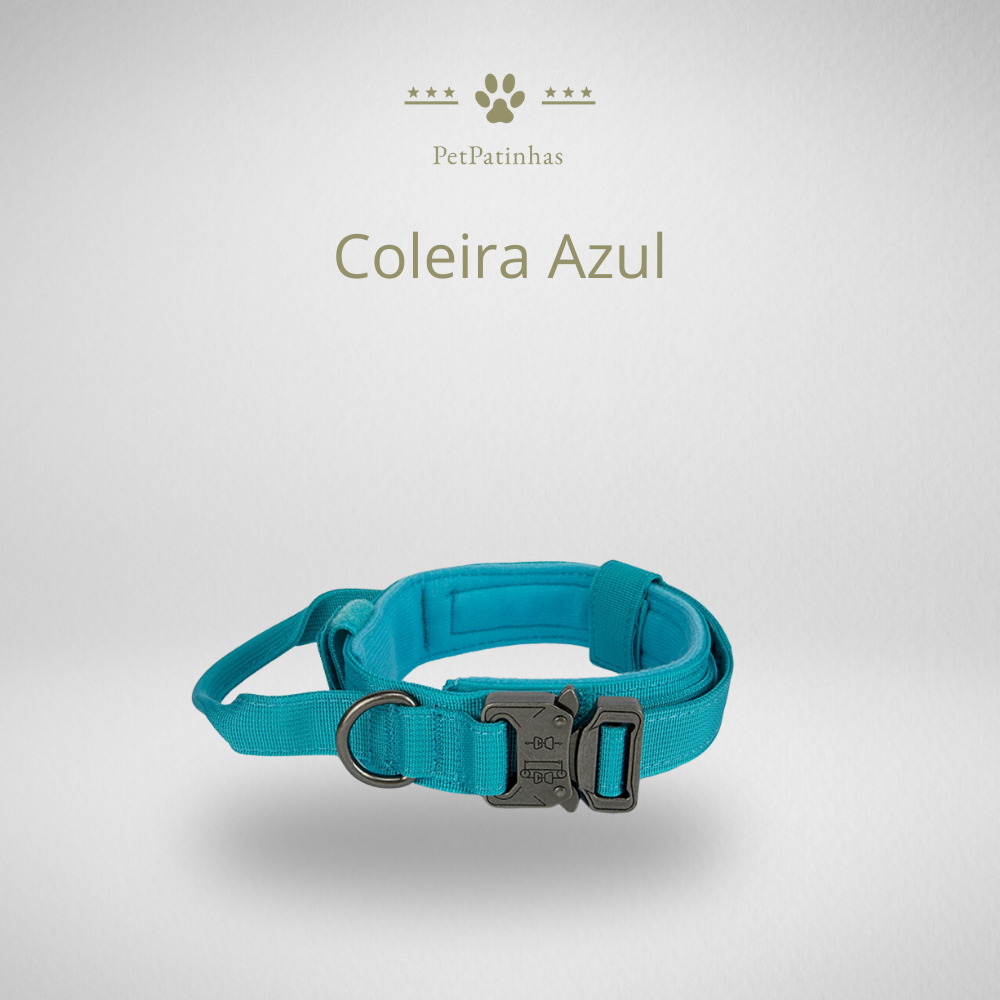 Conjunto de Coleira e Guia para Cães