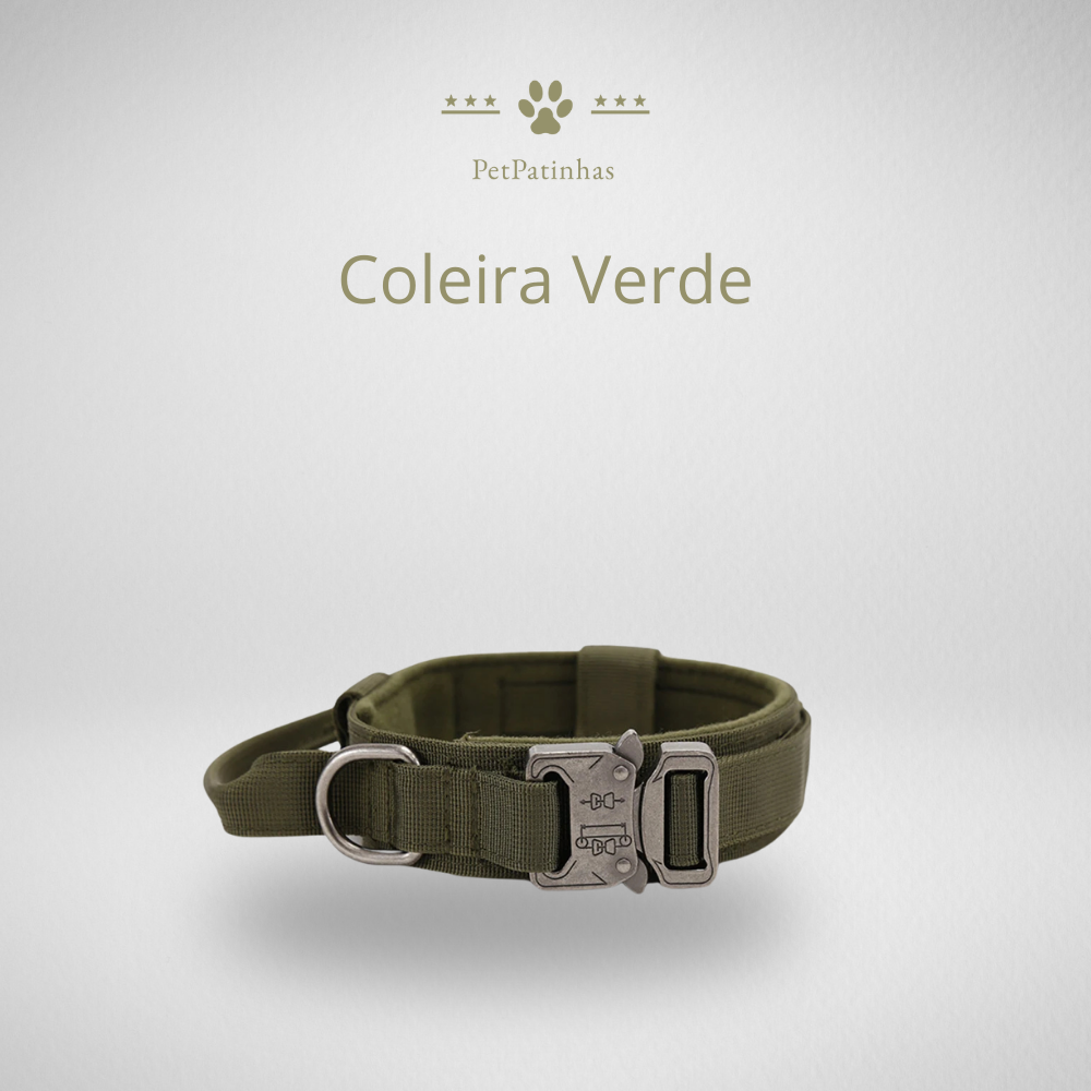Conjunto de Coleira e Guia para Cães