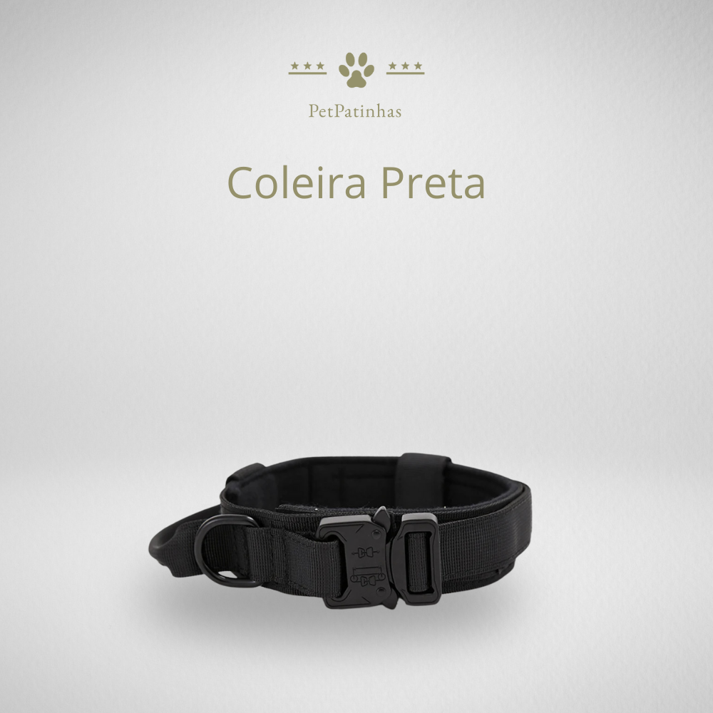 Conjunto de Coleira e Guia para Cães