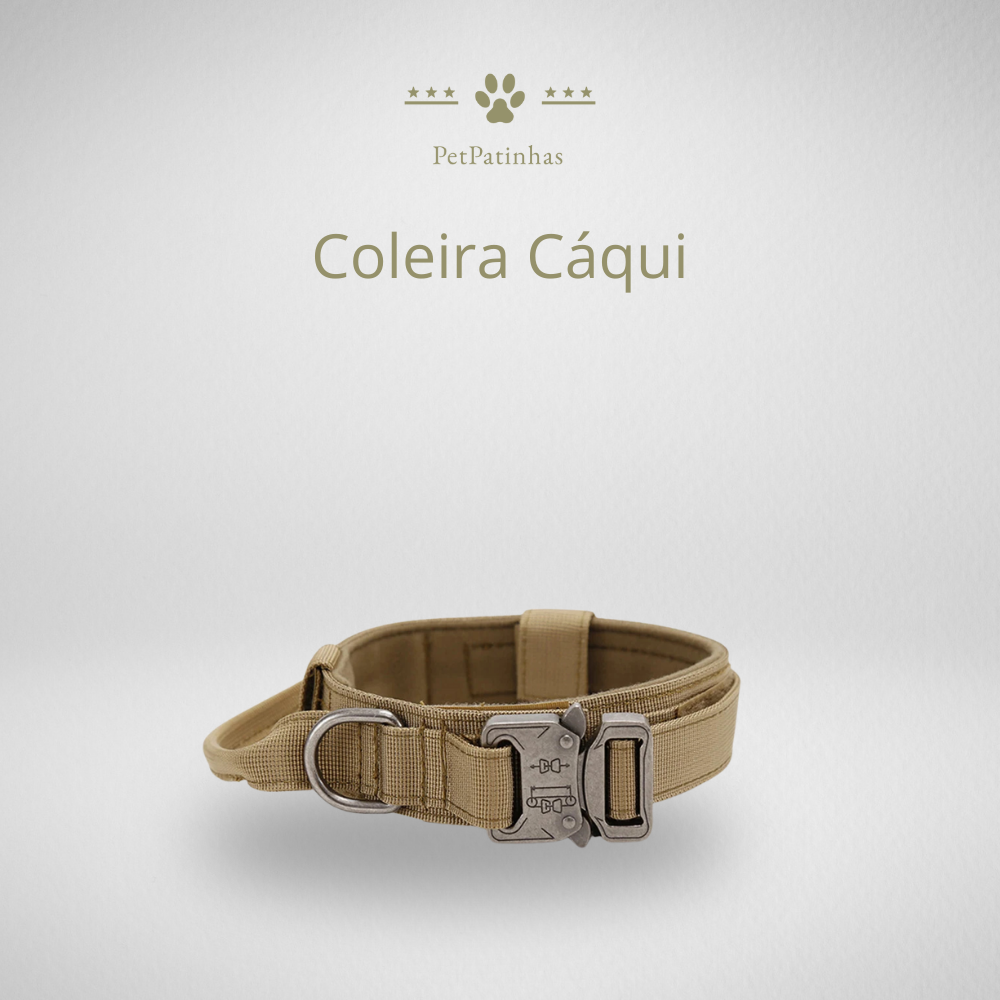 Conjunto de Coleira e Guia para Cães