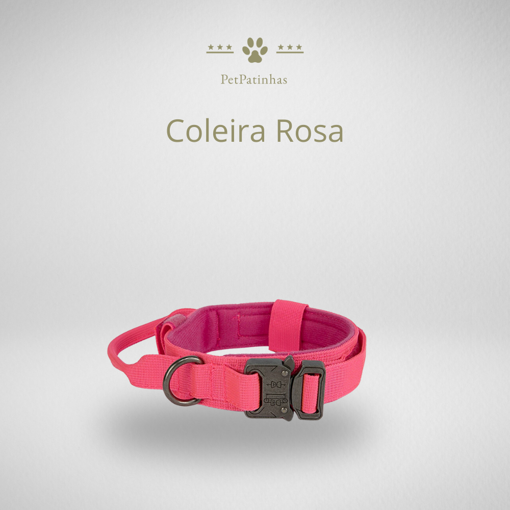 Conjunto de Coleira e Guia para Cães