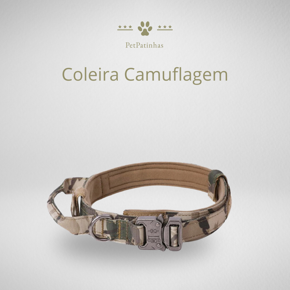 Conjunto de Coleira e Guia para Cães