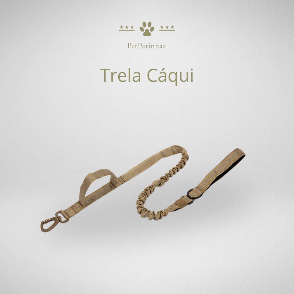 Conjunto de Coleira e Guia para Cães