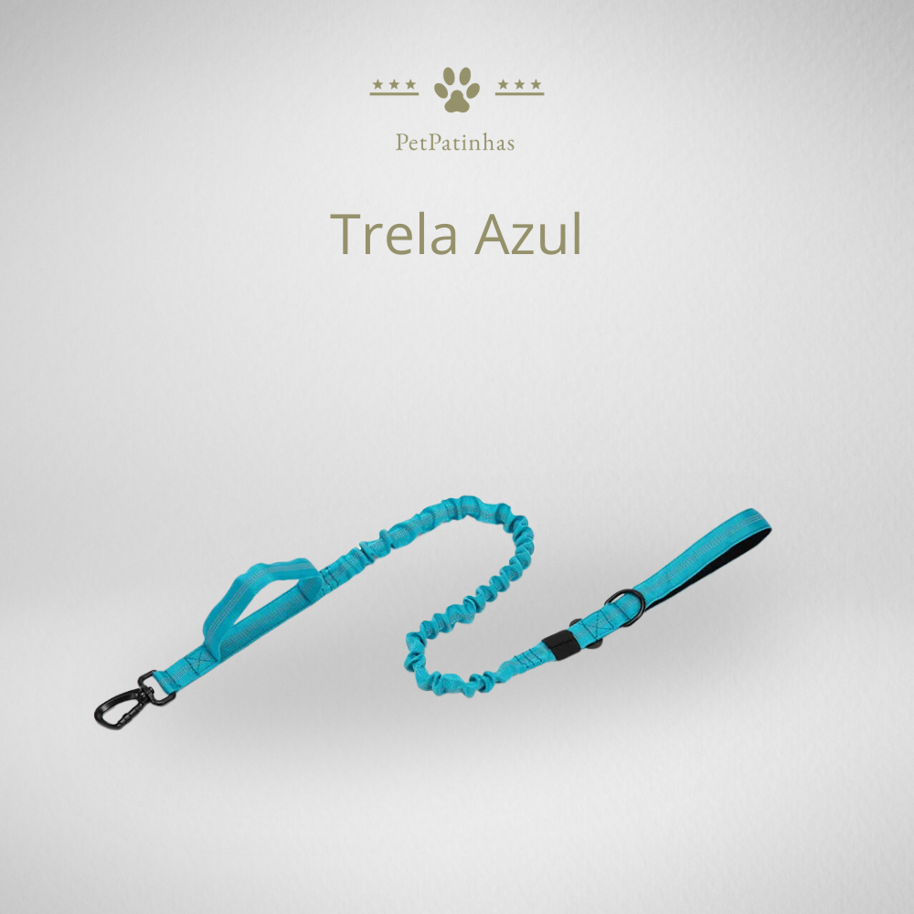Conjunto de Coleira e Guia para Cães