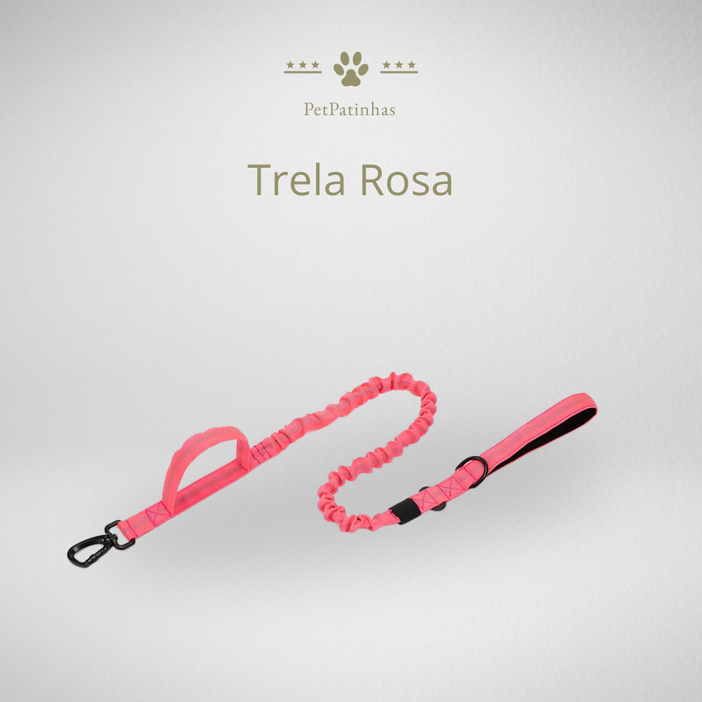 Conjunto de Coleira e Guia para Cães