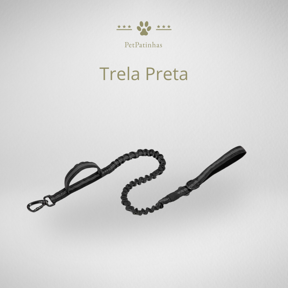Conjunto de Coleira e Guia para Cães