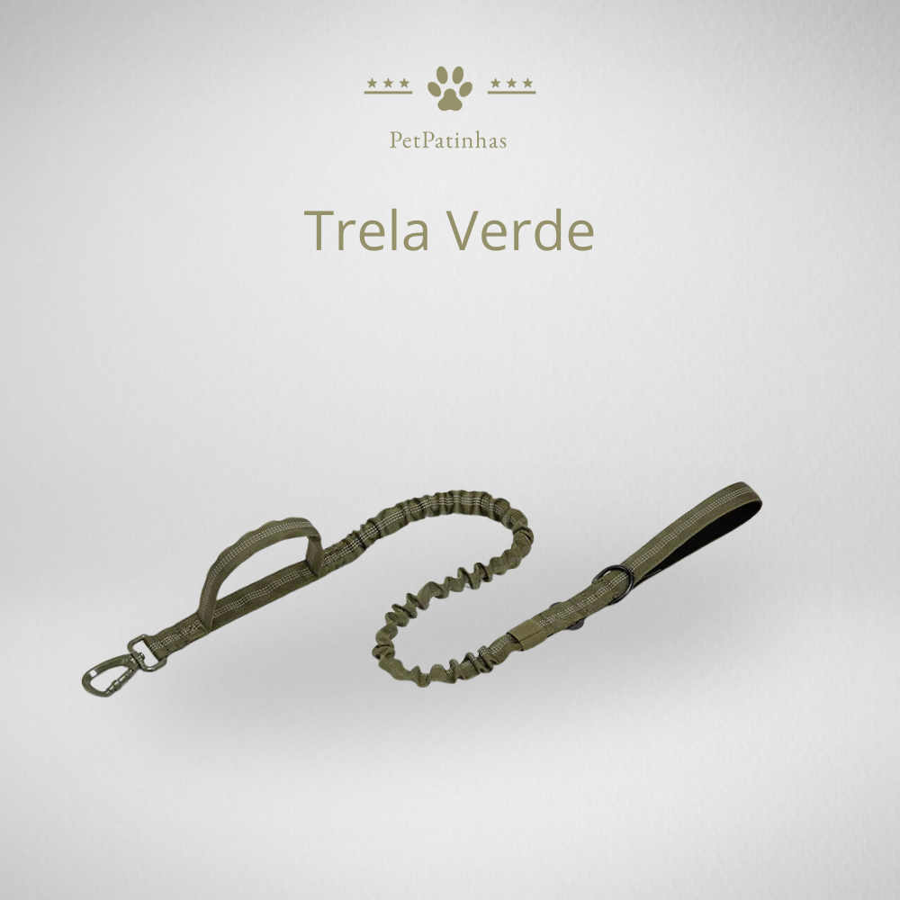 Conjunto de Coleira e Guia para Cães