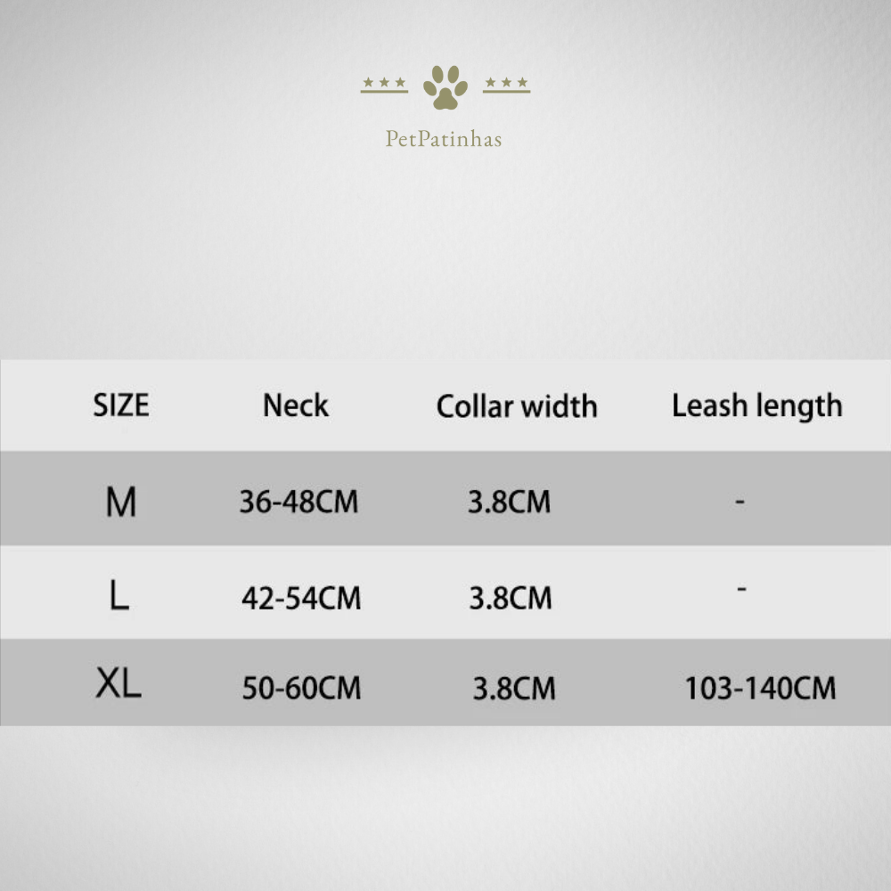 Conjunto de Coleira e Guia para Cães