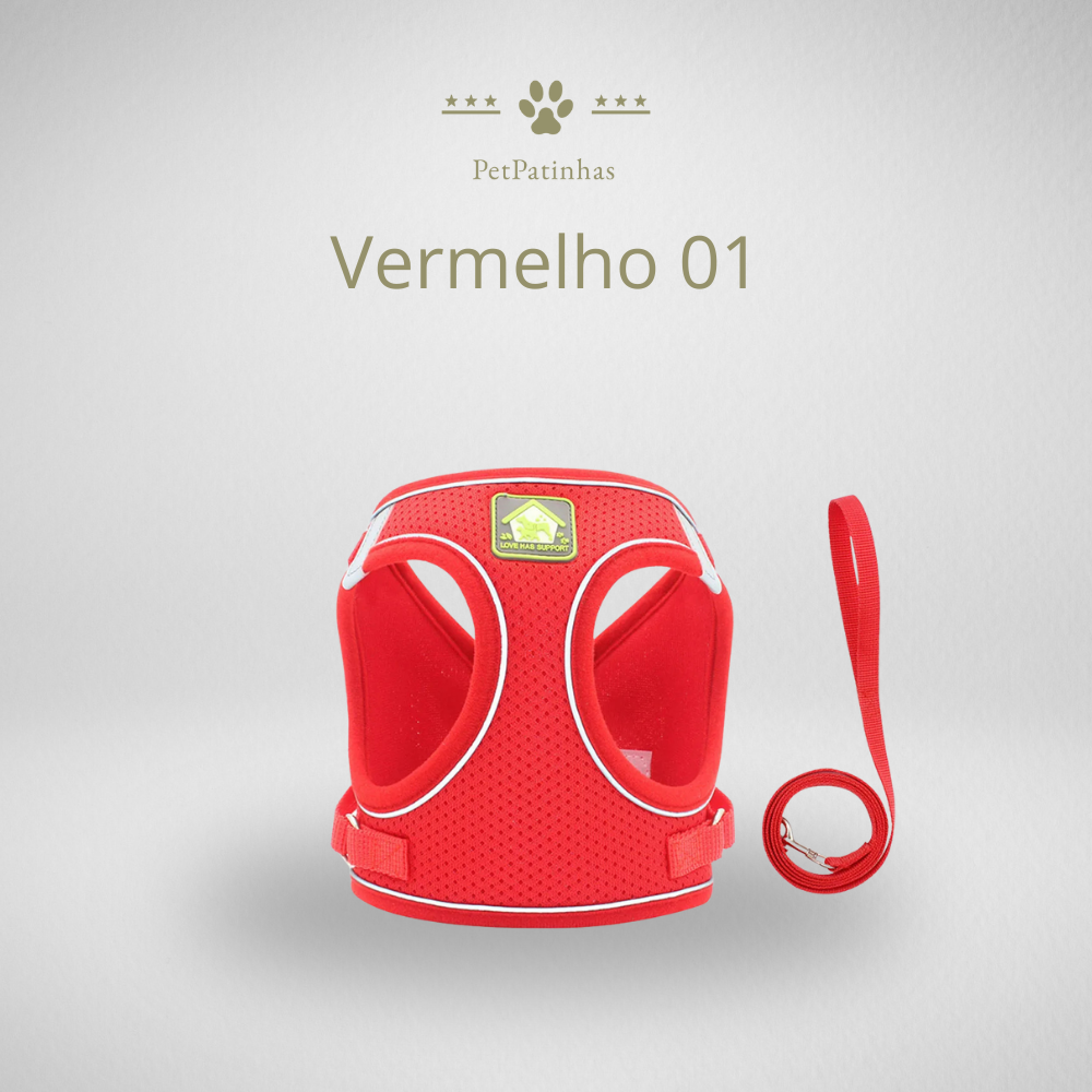 Arnês Ajustável e Respirável para Gatos e Cães Pequenos com Trela