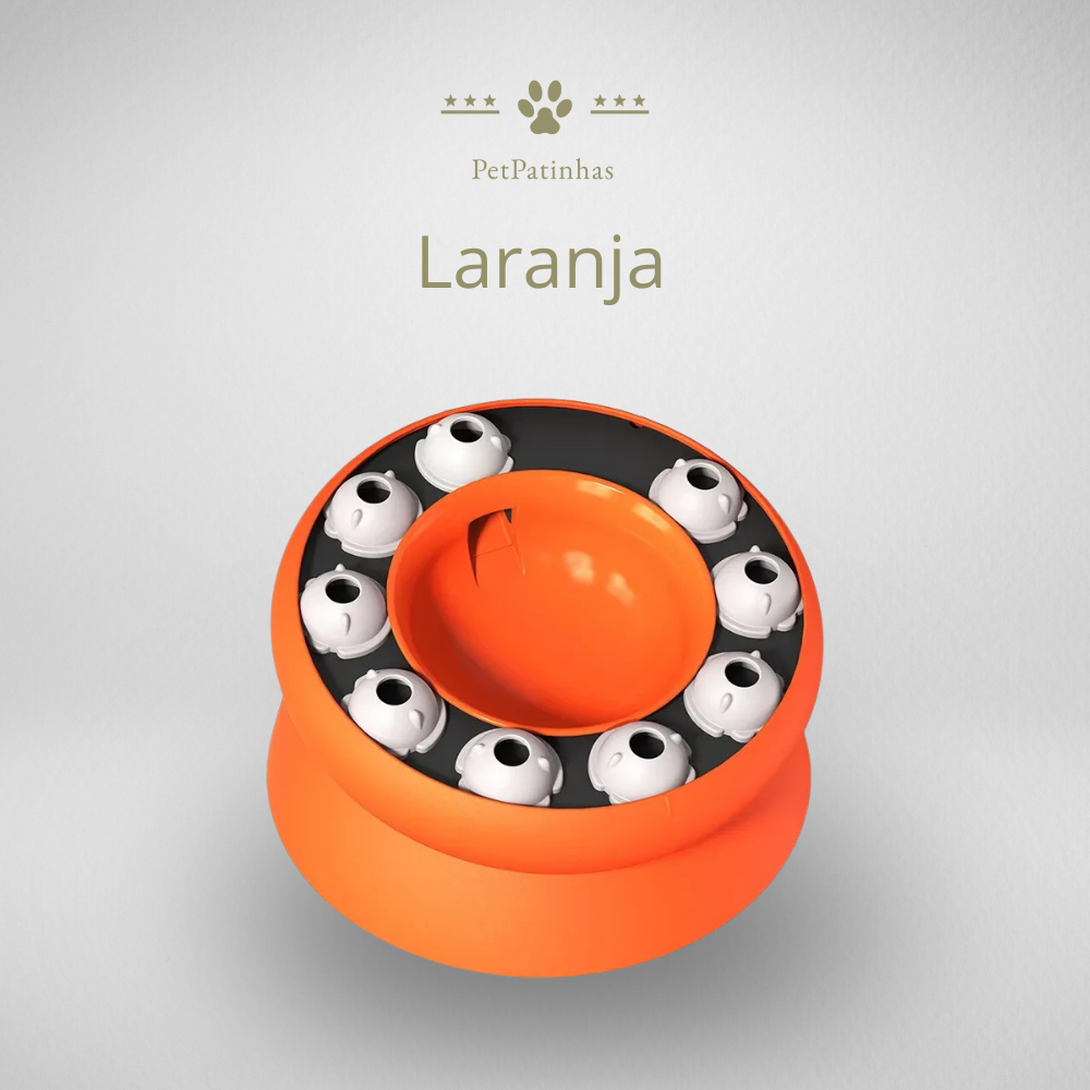 Comedouro Interativo para Gatos