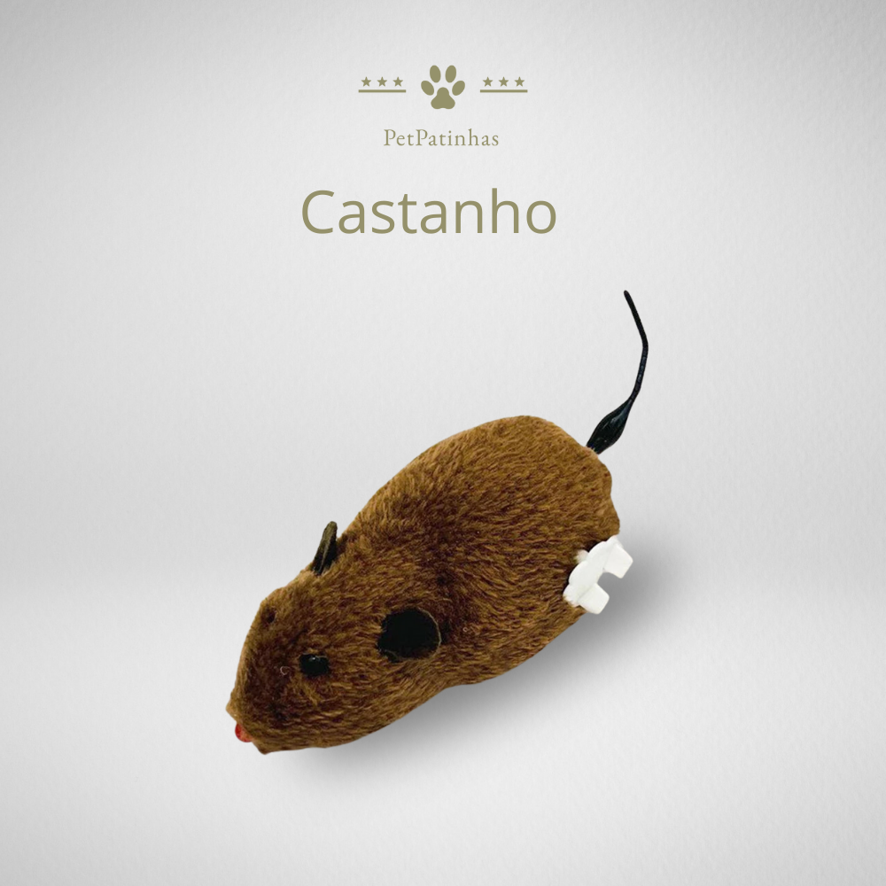 Souris mécanique interactive pour chats