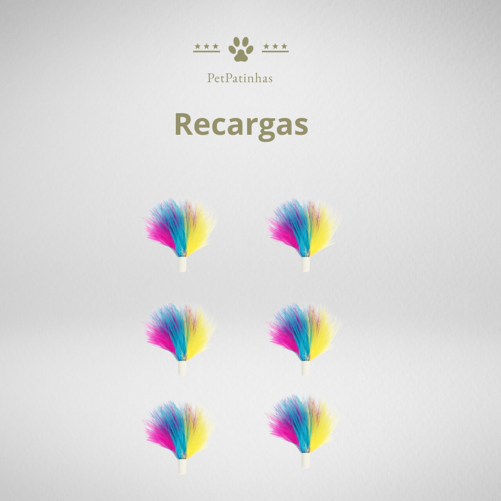 Jouet interactif pour chat 4 en 1
