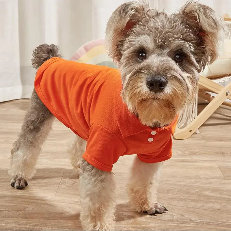 Polos pour chiens – Chemises respirantes
