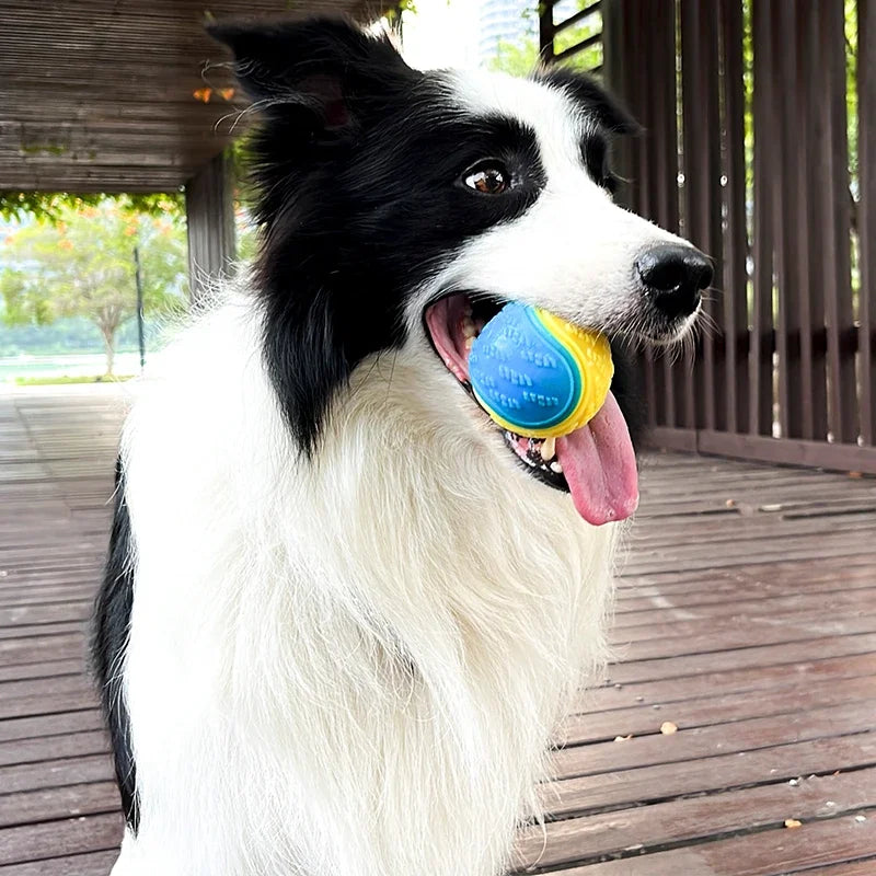 Balle interactive pour chien - Nettoyage des dents et résistance aux morsures
