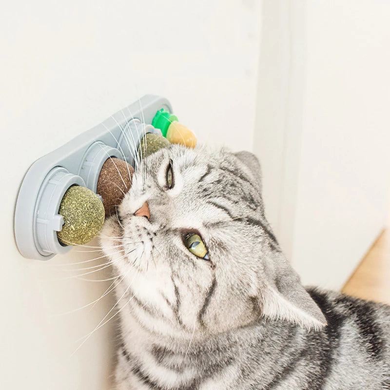 Boules comestibles d'herbe à chat Silvervine pour chats