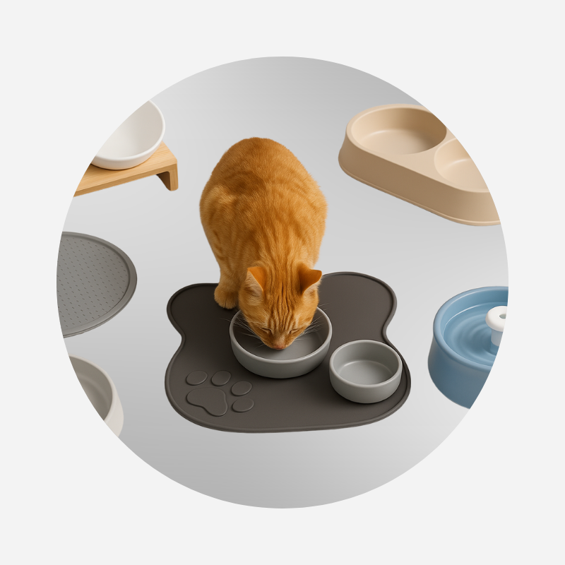 Alimentação