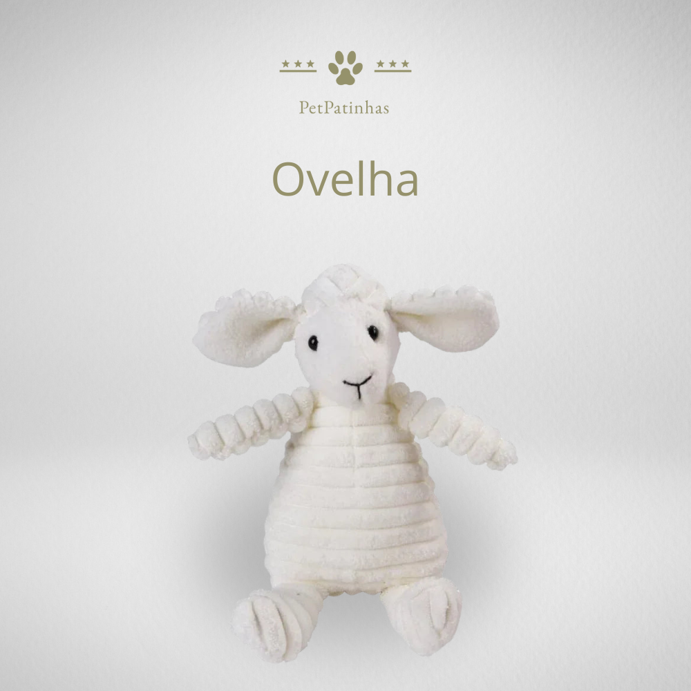Jouet en peluche pour chien