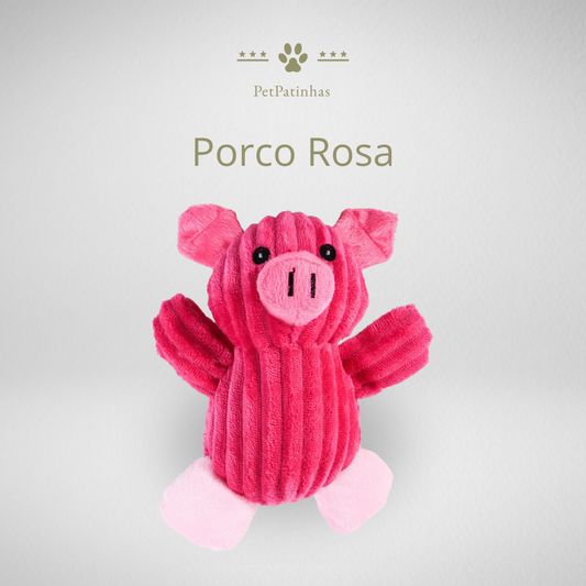 Jouet en peluche pour chien