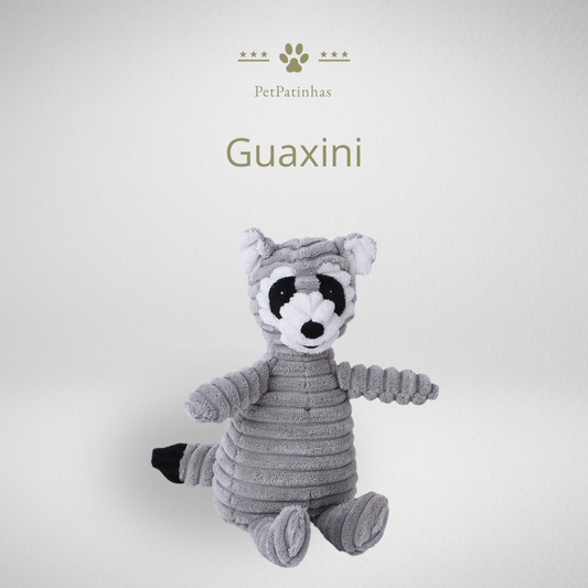 Jouet en peluche pour chien