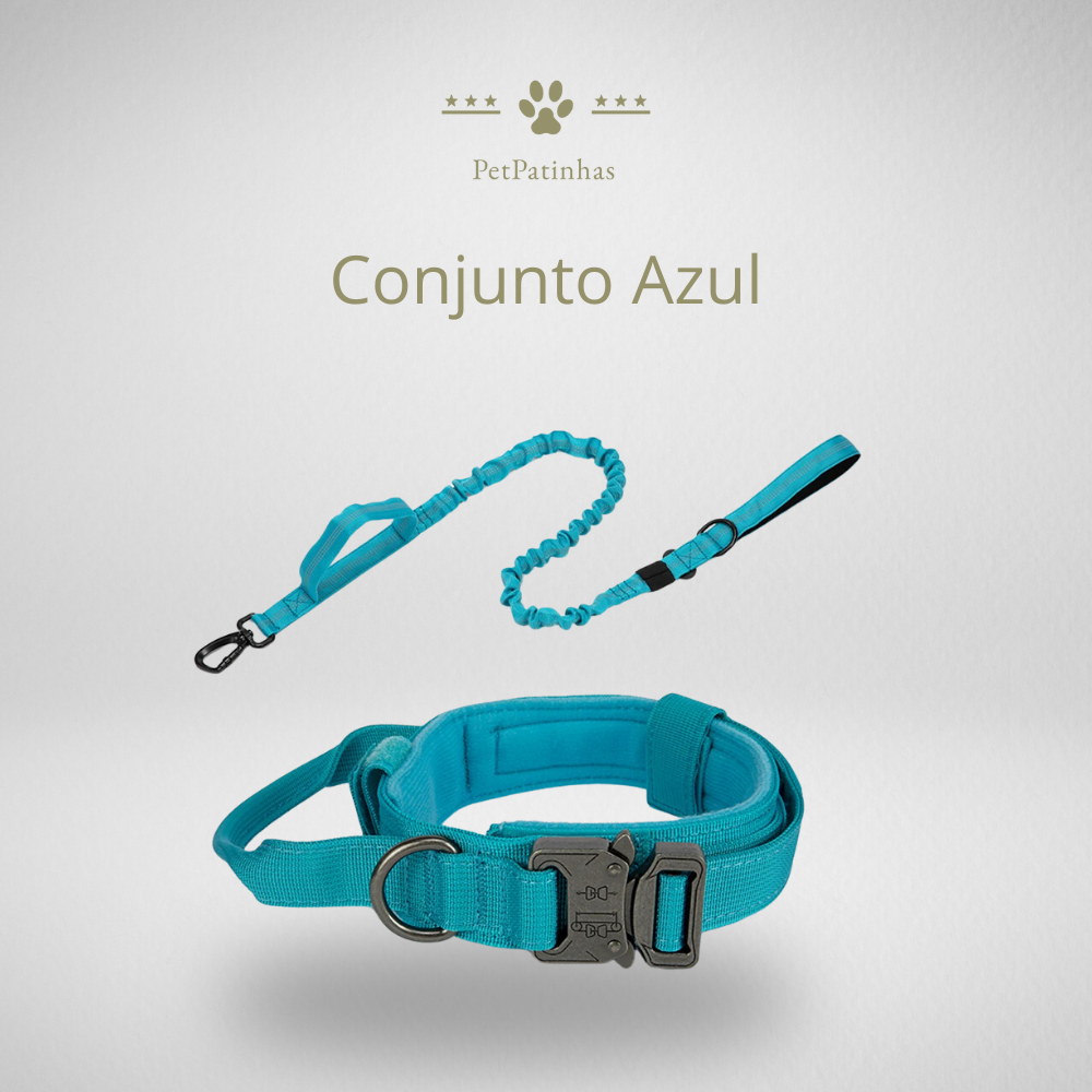 Conjunto de Coleira e Guia para Cães