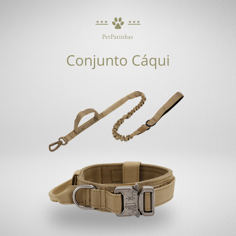 Conjunto de Coleira e Guia para Cães