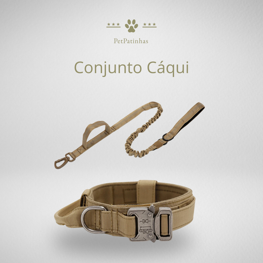Conjunto de Coleira e Guia para Cães