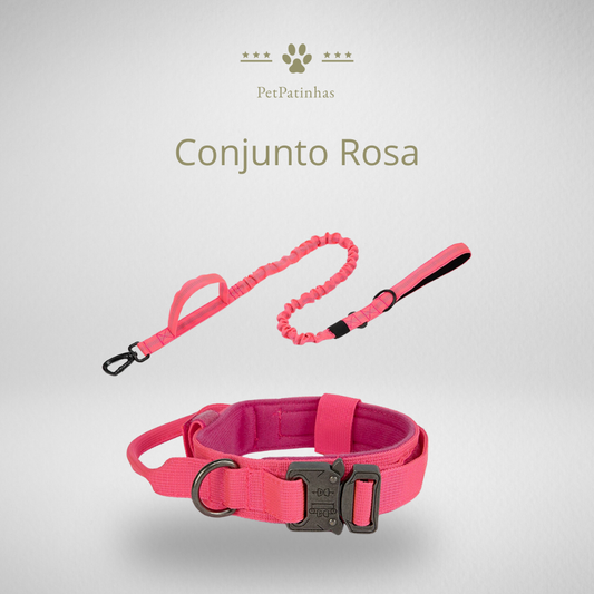 Conjunto de Coleira e Guia para Cães