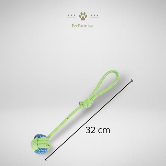 Jouets interactifs pour chiens