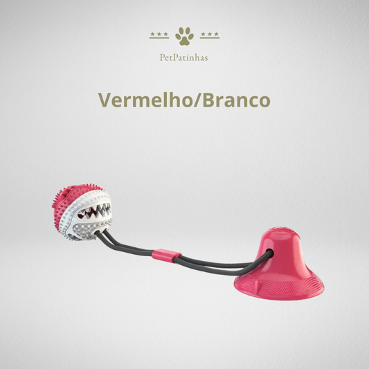 Jouet interactif 5 en 1 pour chiens dynamiques